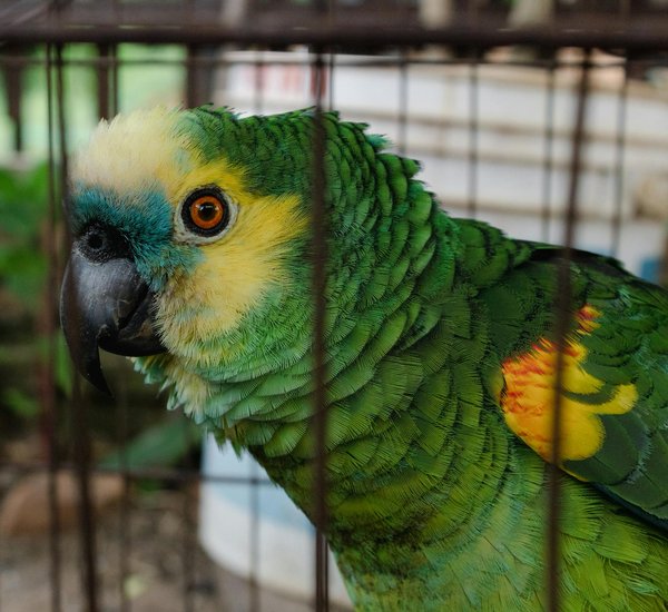 Essential Strategies for Eco-Friendly Farming Practices in the UK's Upland Regions